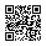 V24B3V3T100B QRCode