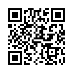 V24C12T100BS3 QRCode