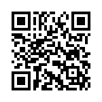 V24C28T100BG QRCode