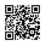 V3-1 QRCode