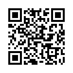 V300B28H250BG QRCode