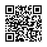 V300B28T250BG QRCode