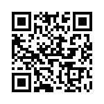 V300B28T250BL QRCode