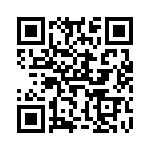 V375A28T400B2 QRCode