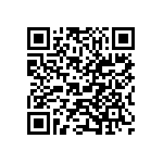 V95234B1-20-29S QRCode