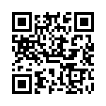 VG95234A181PN1 QRCode