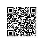 VG95234A2821PN1 QRCode