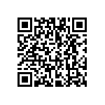 VG95234B1-22-2P1X QRCode