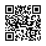 VG95234B2208PX QRCode