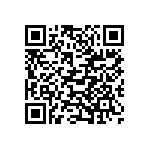 VG95234M-28-22P1X QRCode