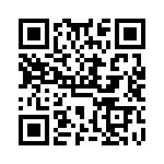 VG95234M366P1N QRCode