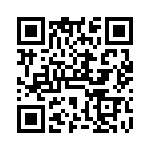 VG95234P15S QRCode