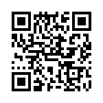 VG95234P500 QRCode