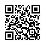 VI-25T-IX-B1 QRCode