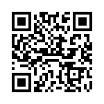 VI-B0K-EY-B1 QRCode