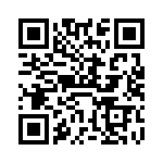 VI-B1B-EV-B1 QRCode