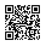 VI-B3K-IX-B1 QRCode