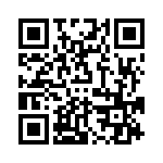 VI-B3R-EY-B1 QRCode