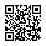 VI-B3R-IV-B1 QRCode