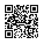 VI-B3R-IX-B1 QRCode