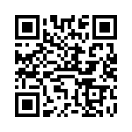 VI-B3T-IV-F2 QRCode