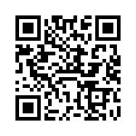 VI-B3Y-IV-B1 QRCode