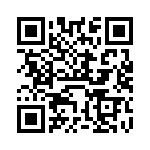 VI-B54-IX-F3 QRCode