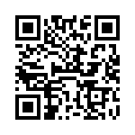 VI-J0Z-CZ-B1 QRCode