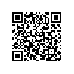 VJ0402D0R2BLAAC QRCode