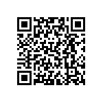 VJ0402D0R4CLBAC QRCode