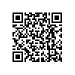 VJ0402D0R4DLXAP QRCode