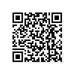 VJ0402D0R9BLXAC QRCode