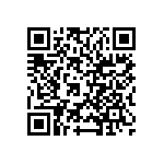 VJ0402D0R9CLBAJ QRCode