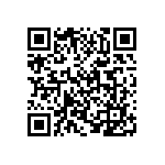 VJ0402D1R2BLBAJ QRCode