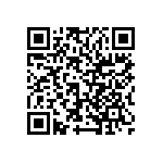 VJ0402D2R0DLCAP QRCode