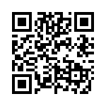 VS-1N3891 QRCode