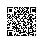 XBHAWT-02-0000-0000T50E4 QRCode