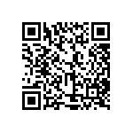 XMLBWT-00-0000-000HT30E6 QRCode