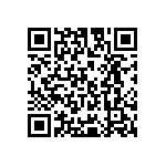 Y079324K4200T9L QRCode