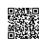 Y079384R2700T0L QRCode