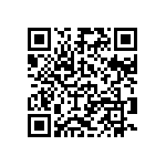 Y09251K28000Q9L QRCode