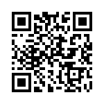 Y101132V203NQE QRCode