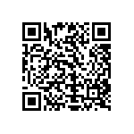 Y11211K20000T13R QRCode