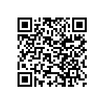 Y11691K37500B0L QRCode