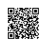 Y11691K75000T9L QRCode