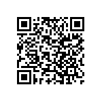 Y12881K10000B0L QRCode