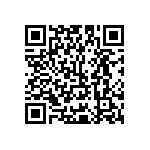 Y16241K10000T9R QRCode