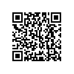 Y16241K17600B9W QRCode