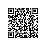 Y16241K21000T9W QRCode