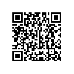 Y16241K33000T9W QRCode